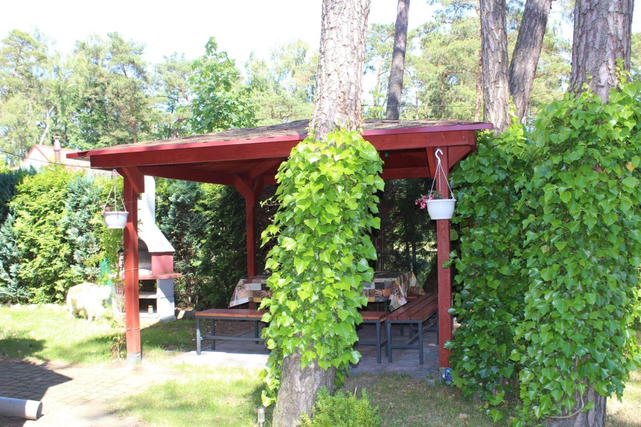 Dom Pod Sosnami Bed and Breakfast Mielno  Buitenkant foto